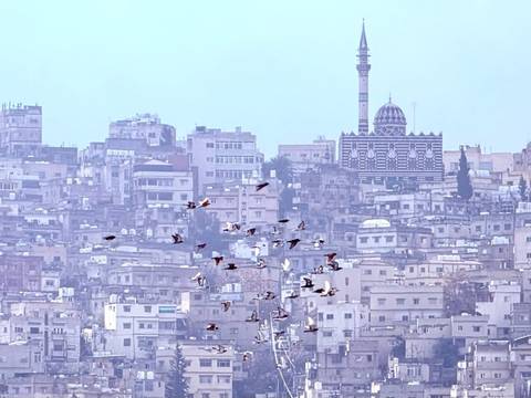       Photo d'avis client sur Égypte (GEM) et Jordanie 10 jours de découverte, y compris avec le vol Égypte-Jordanie 
  