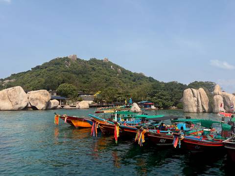       Colorful long-tail boats moored on clear teal water with a green rocky island as backdrop.
  