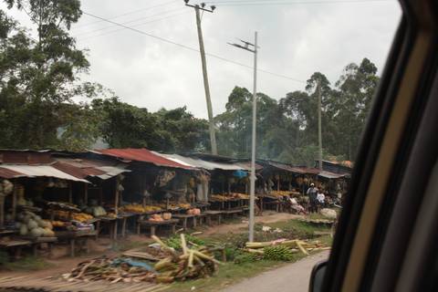       Klantbeoordelingsfoto van 12-daagse reis inclusief gorillatrekking, Big 5 en natuurobservatie 
  