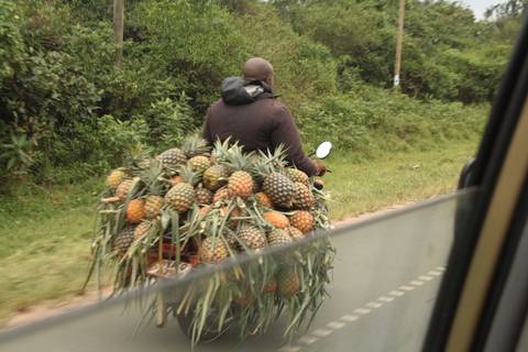       Klantbeoordelingsfoto van 12-daagse reis inclusief gorillatrekking, Big 5 en natuurobservatie 
  
