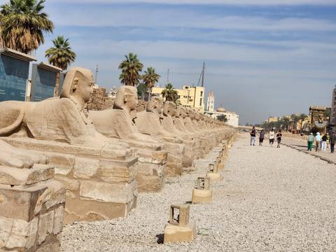       Long row of sphinx statues lining the Avenue of Sphinxes in Luxor under a blue sky.
  