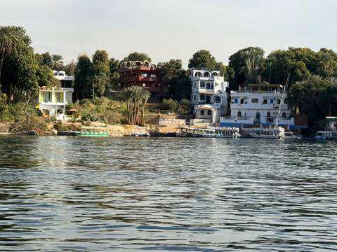       Riverside view of colorful Nile‐side homes and lush palms reflecting on calm water.
  