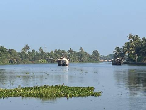       Kerala backwaters scene with two traditional houseboats drifting along a palm-lined canal.
  