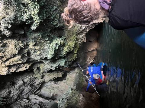       Guided kayak entering a dark grotto with rugged cave walls dripping with moss.
  