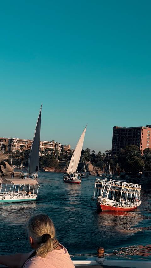       Sailboats with tall triangular masts glide past a riverside hotel building lined with palm trees at dusk.
  