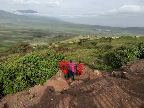       Three Maasai in bright shukas stand on a green escarpment overlooking Ngorongoro plains and huts
  