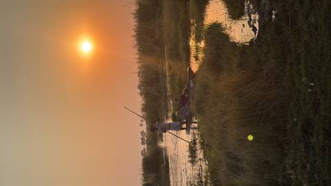       Small canoe being poled through reeds at sunset with golden light reflecting on water.
  