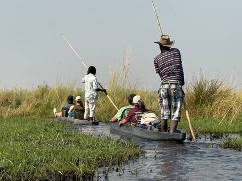       Tourists seated low in dugout canoes as guides pole them through grassy channels.
  