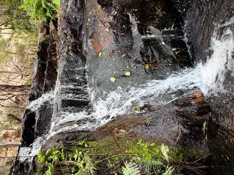      Small cascading waterfall over dark rocks in a forest setting.
  