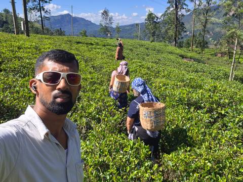       Selfie with tea pickers carrying woven baskets through bright green tea plantations.
  