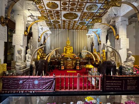       Lavishly decorated Buddhist shrine with a gold seated Buddha, ivory tusks, stone columns and red carpet inside a temple hall
  