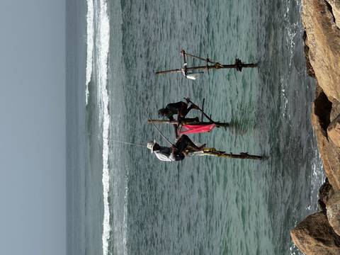       Traditional stilt fishermen balancing on poles above turquoise ocean waves near the rocky shore
  