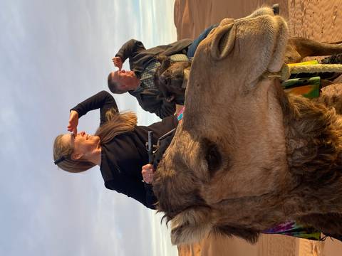       Couple riding camels in the Sahara scans the horizon under warm evening light.
  