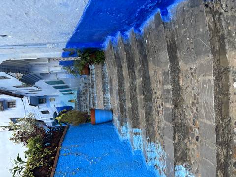       Steep blue-and-white painted staircase winds through the medina of Chefchaouen.
  