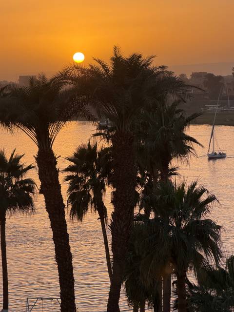       Golden sunset over the Nile silhouettes palm trees and a sailboat.
  