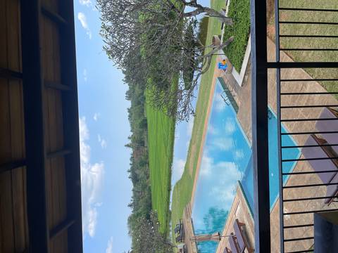       Resort swimming pool overlooking rice paddies and palm trees from a balcony.
  