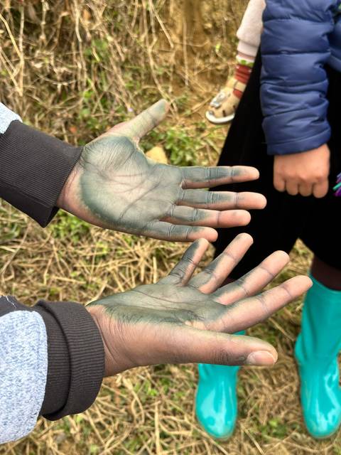       Close-up of two open palms stained green with natural dye during a handicraft demonstration outdoors.
  