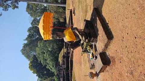       Seated stone Buddha under a yellow parasol amid grassy temple ruins.
  