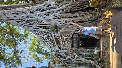       Traveler poses excitedly in front of massive tree roots engulfing an ancient stone temple entrance.
  