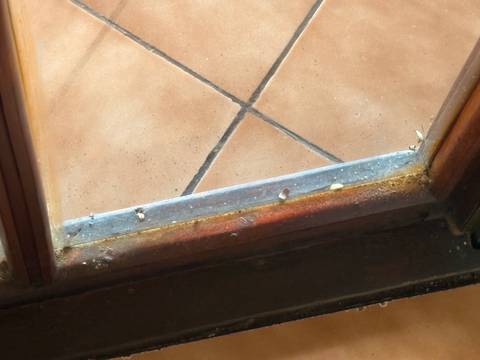       Close-up of rusted, dirty window frame and tiled floor corner.
  