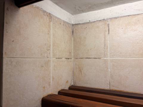       Mold-stained corner of bathroom tiles above wooden slats.
  