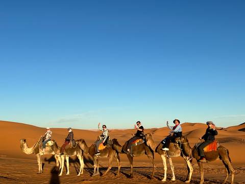       Line of travelers ride camels across golden Sahara dunes under a clear blue sky.
  