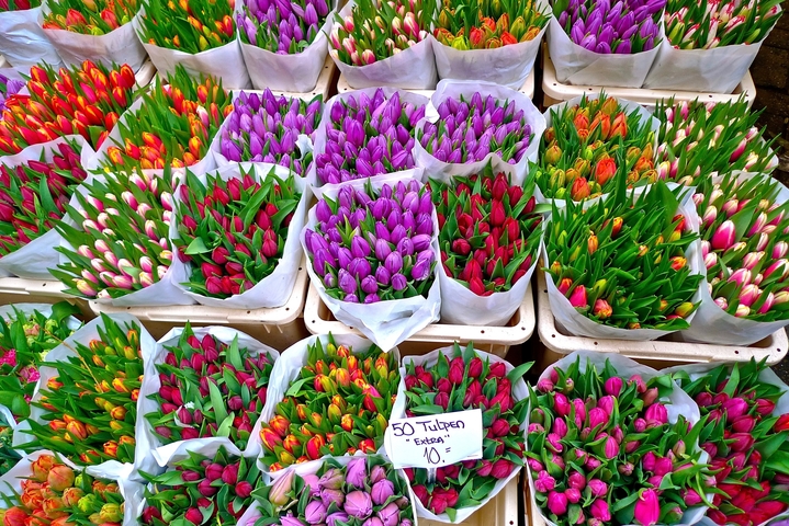 Bunches of colorful tulips in a market.