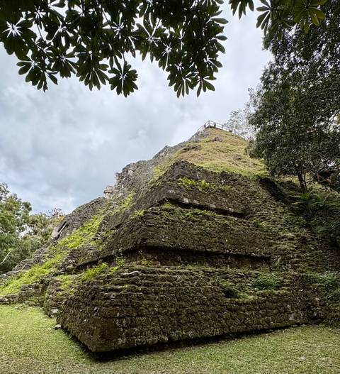       Lushly overgrown stone pyramid structure rising toward a cloudy sky in the jungle
  