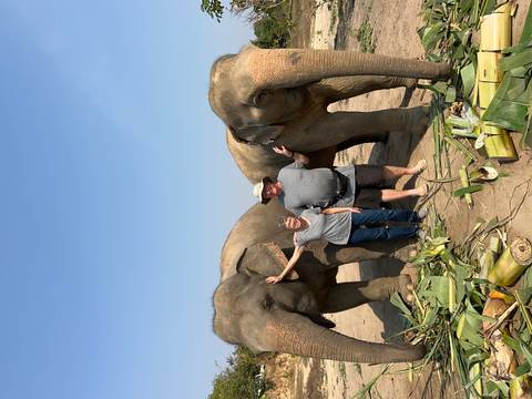       Two travelers stand hand-in-trunk with rescued elephants on a sunny plain
  