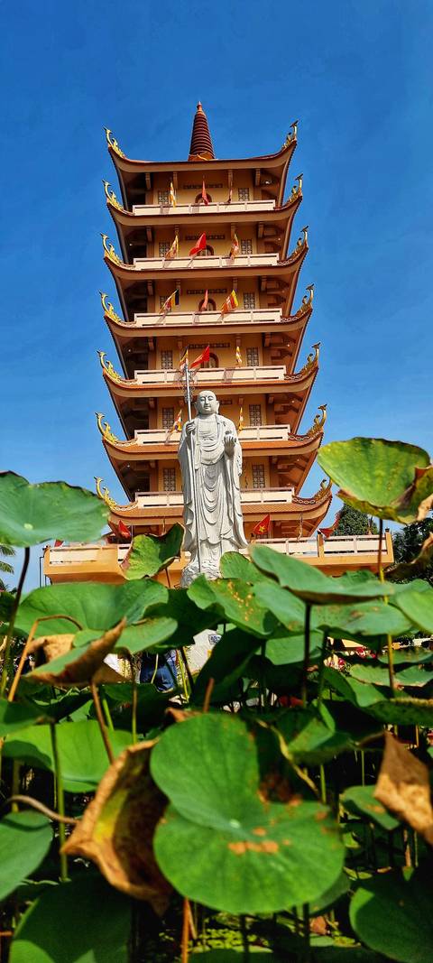       Stone Buddha statue framed by lotus leaves with a multi-tiered pagoda rising behind against a clear blue sky.
  