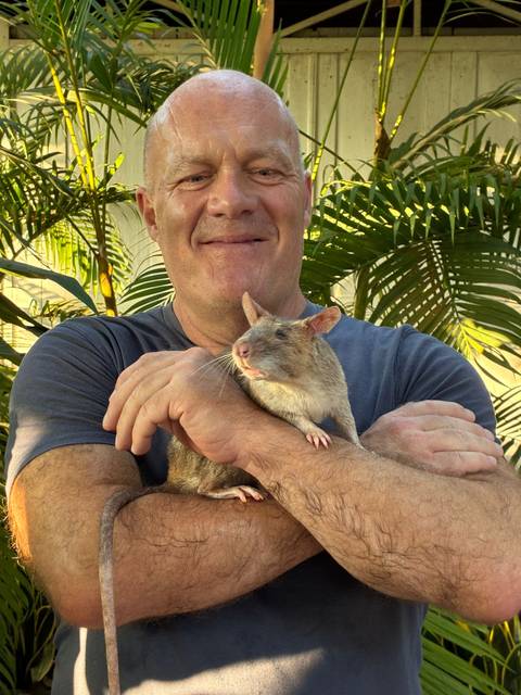       Man smiling while holding a giant pouch rat on his crossed arms in a leafy garden setting
  