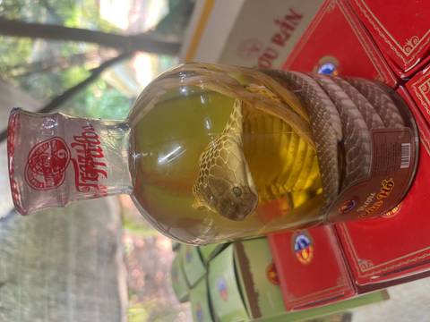       Glass bottle of yellow liquor containing a coiled cobra and scorpion displayed on a market shelf
  