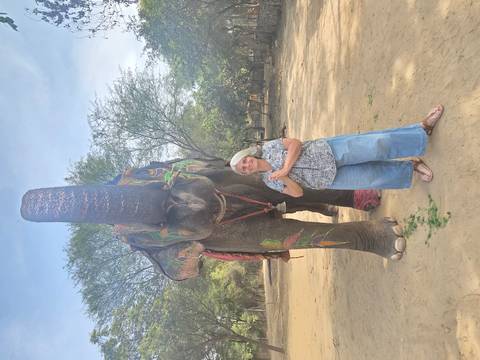      Painted elephant with woman tourist posing beside in dusty paddock under trees.
  
