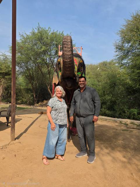      Woman and mahout standing in front of colorfully painted elephant in rural setting.
  