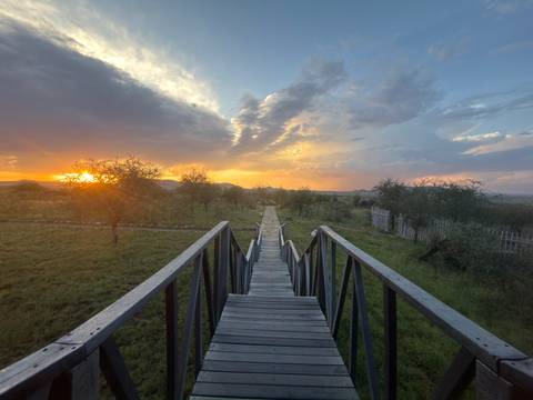       Wooden walkway leads towards a dramatic savannah sunset with moody clouds overhead.
  