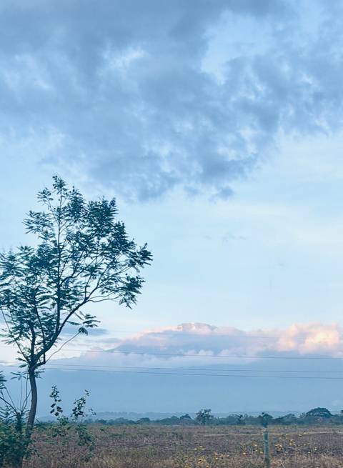       Minimalist sky scene with a lone tree and distant mountain peak.
  