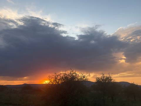       Dramatic sunset with glowing orange light beneath dark storm clouds over savannah.
  