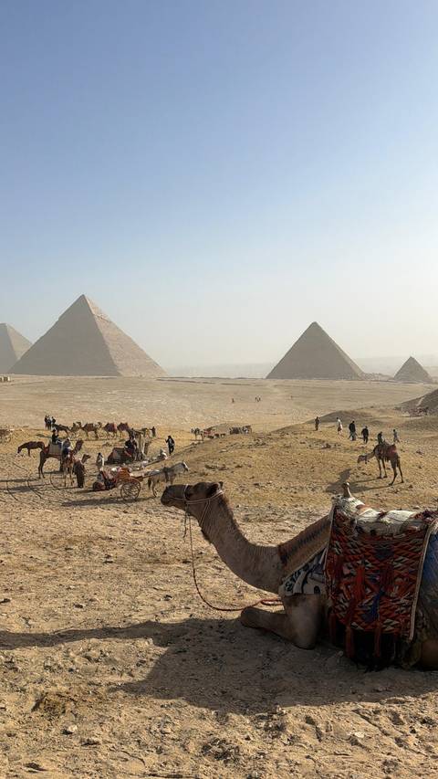       Wide desert scene with several pyramids and tourists on camels in the foreground.
  