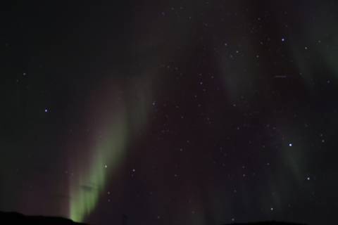       Northern lights dancing faintly across a starry night sky
  