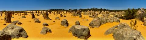       Panoramic view of scattered limestone pillars over vivid orange desert sand under cloudless sky
  