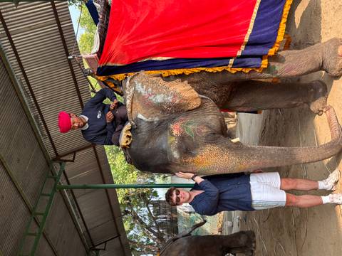       Tourist pets a decorated elephant while mahout sits on top under a corrugated roof.
  