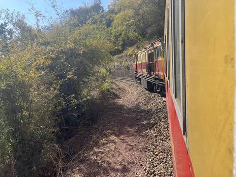       Narrow-gauge train snakes along a curving mountain track bordered by dense shrubbery.
  
