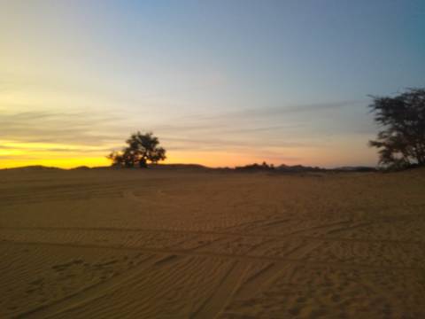       Blurry desert landscape at sunset with silhouette of distant tree and pastel sky.
  