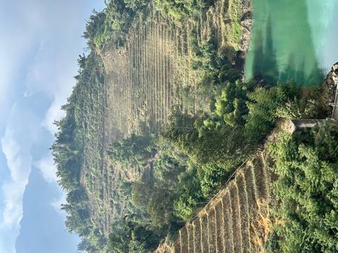       Verdant terraced hillsides descending to a turquoise river with misty mountains beyond.
  