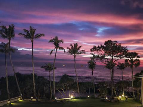       Vivid purple and pink dawn sky over silhouettes of palm trees and a calm ocean horizon.
  