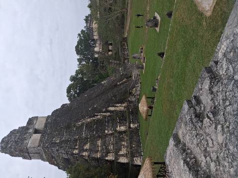       Stone stepped Mayan pyramid rising above grassy plazas at Tikal.
  