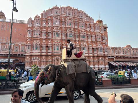       Decorated elephant carrying a mahout passes in front of Jaipur’s ornate Hawa Mahal façade
  