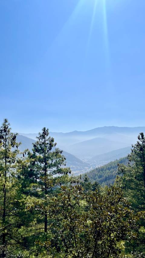       Hazy mountain valley view framed by pine trees under a flawless blue Bhutanese sky.
  