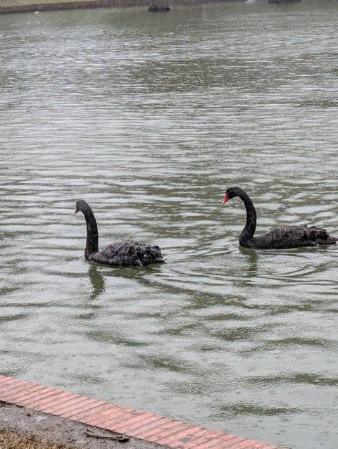       Klantbeoordelingsfoto van Andalusië en Portugal volledig Madrid (16 bestemmingen) 
  