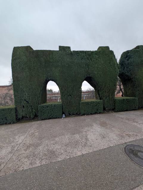       Manicured hedge arches in a formal garden on a grey day.
  